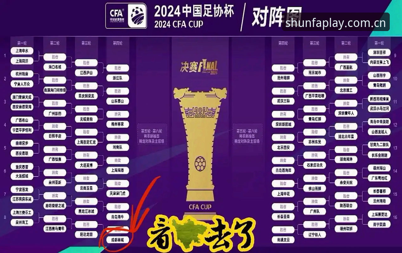 中国足协第三批禁足名单公布：终身禁赛 vs 五年禁赛，哪些足球乱象被彻底整治？